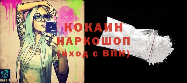 таблы Бородино