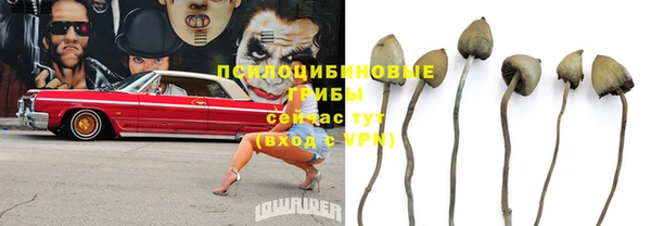 mix Богородицк