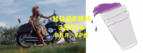 ECSTASY Богданович