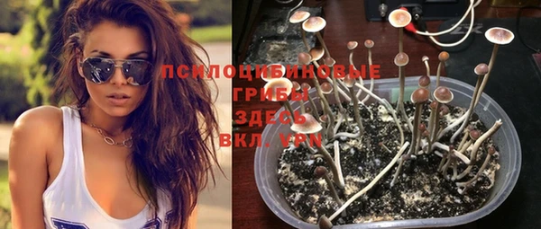 СК Бугульма