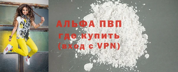таблы Бородино