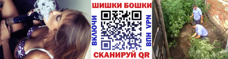Купить где  Осинники  Канабис OG Kush 
